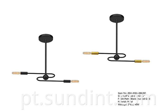 Zdh 4691 2bk Bg Black Metal Pendant Light